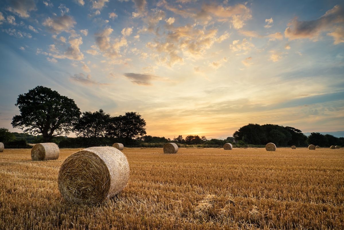 Sky over rural field of hay | Image Credit: © veneratio - stock.adobe.com