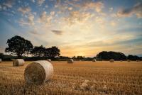 Sky over rural field of hay | Image Credit: © veneratio - stock.adobe.com