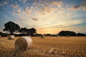 Sky over rural field of hay | Image Credit: © veneratio - stock.adobe.com