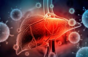 Hepatitis effects of the liver | Image credit: Rasi - stock.adobe.com