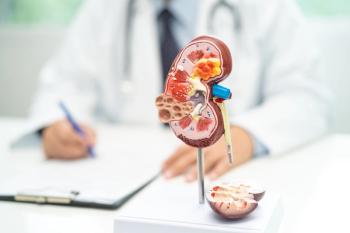 Kidney models doctor | Image Credit: © amazing studio - stock.adobe.com