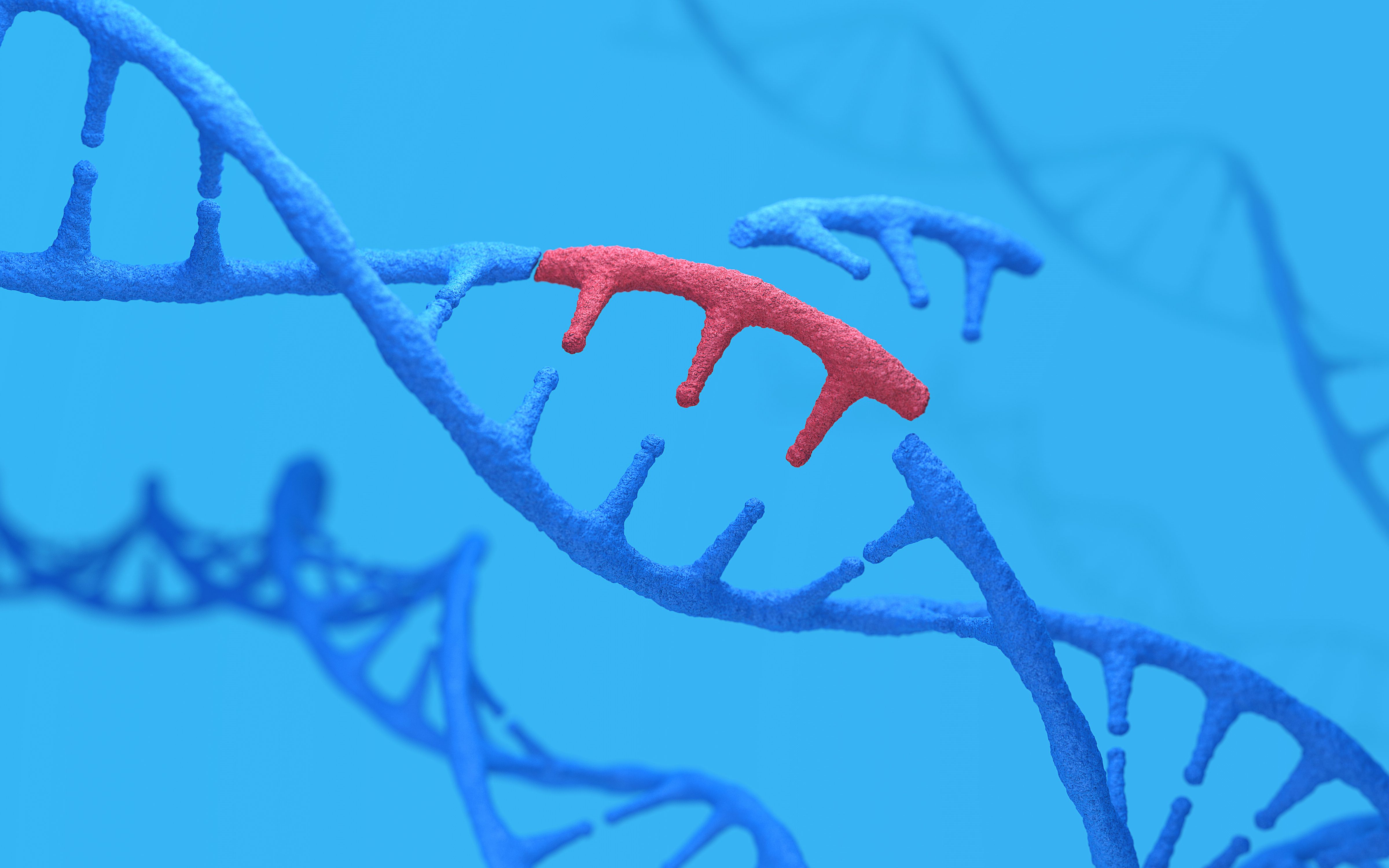 Understanding genetic alterations in CLL could improve personalized medicine strategies | image credit: Shuo - stock.adobe.com