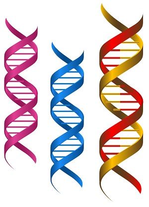 Clinicians Hear More Questions as Patient Awareness of Oncology Genetic Testing Grows