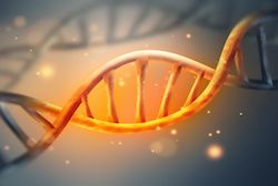 Gender Disparity in Cancer Genetic Testing Influenced by Men With HBOC Risk