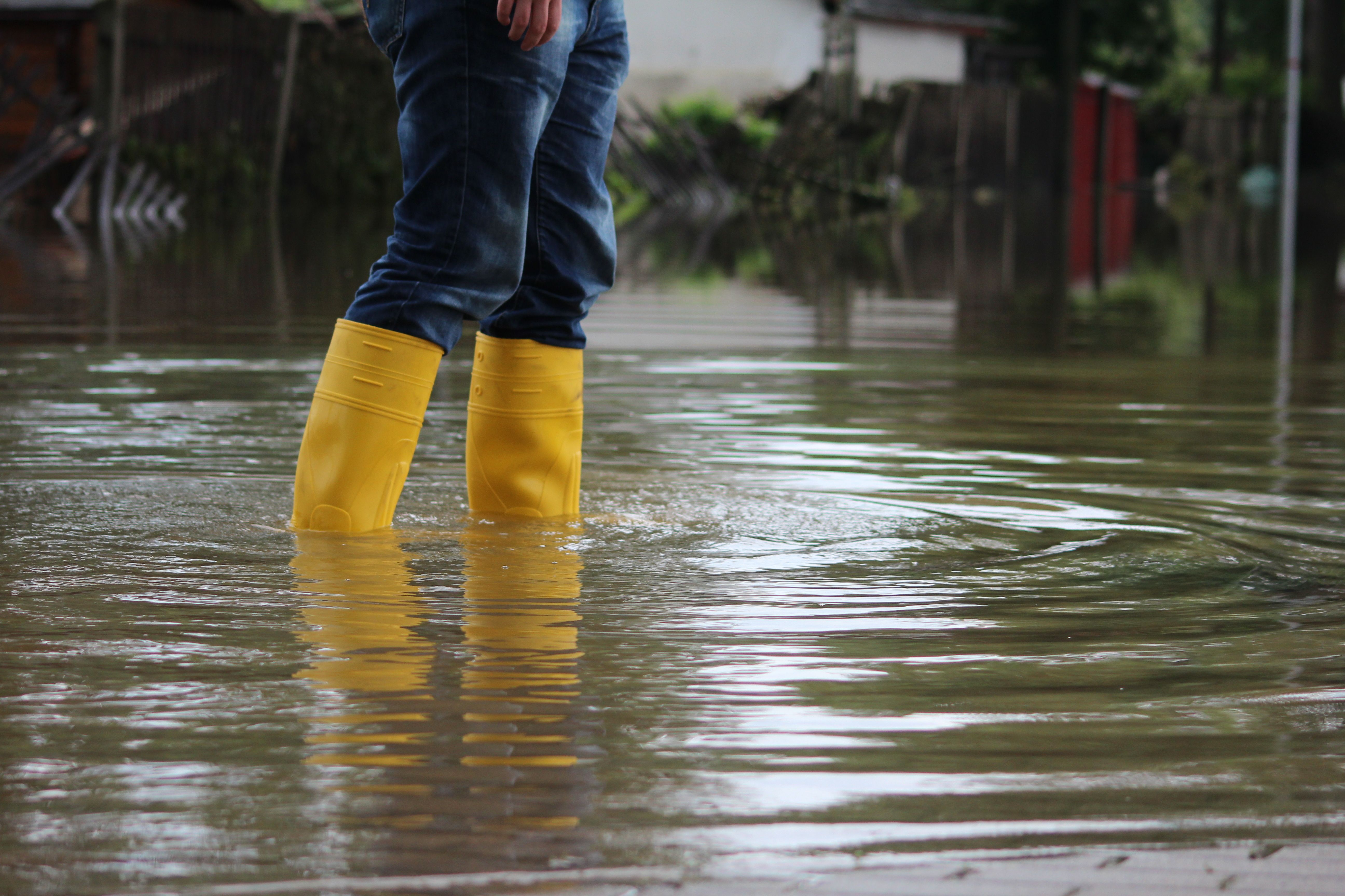  Individual in flooded area | Image Credit: Rico Löb - stock.adobe.com