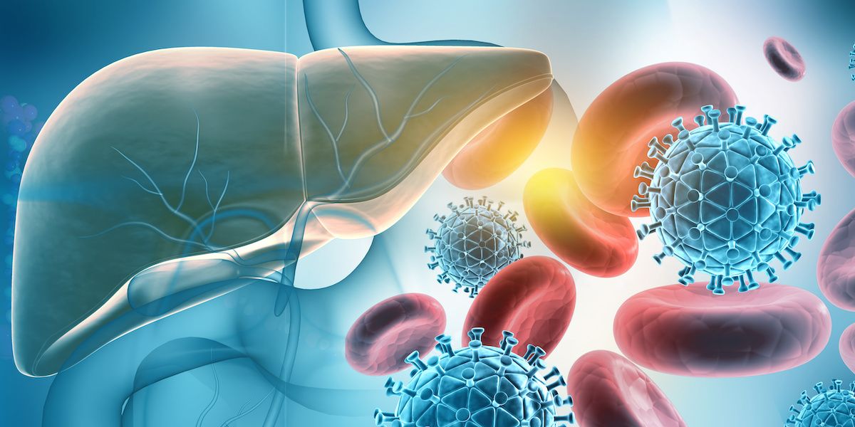 liver and hepatitis B infection | Image credit: Rasi - stock.adobe.com