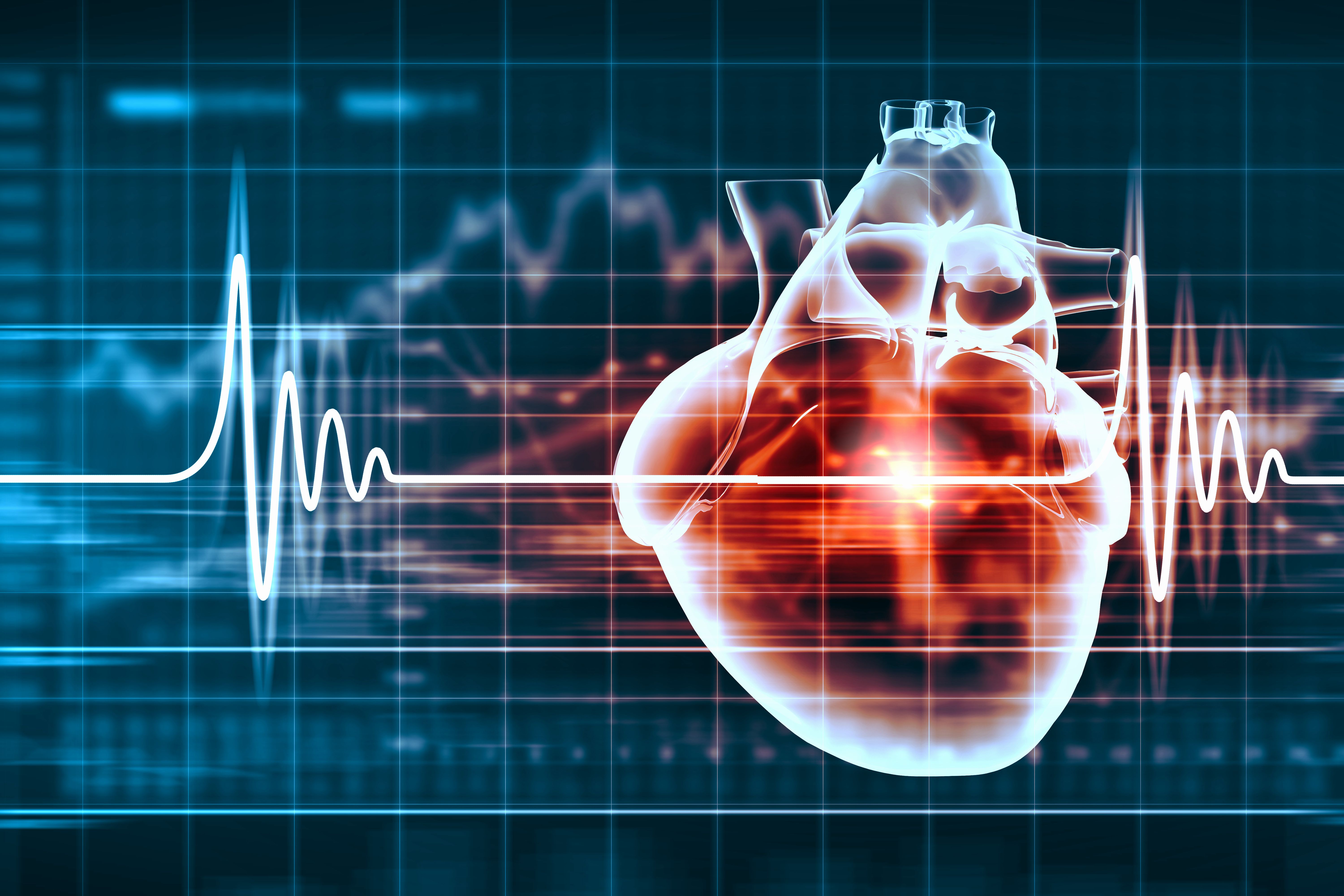 Heart and heart rate image