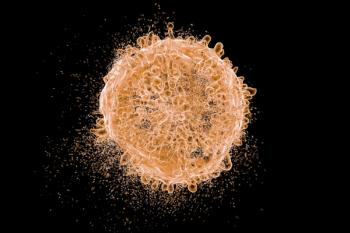 leukemia cell