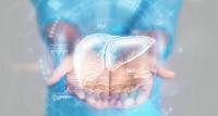 liver disease image overlaid on person with hands out | Image credit: Aliaksandr Marko - stock.adobe.com