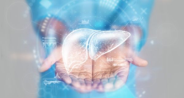 liver disease | Image credit: Aliaksandr Marko - stock.adobe.com