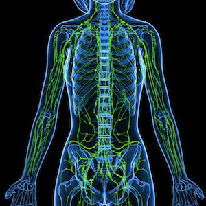 Study Revises Molecular Classification of Diffuse Large B-Cell Lymphoma