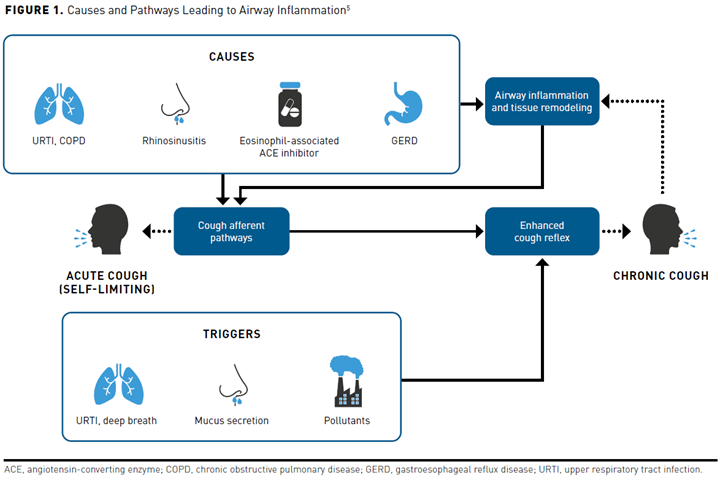 Overview of Chronic Cough