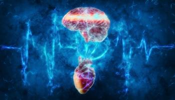 3d brain and heart representing emotional intelligence: © Andrus Ciprian - stock.adobe.com