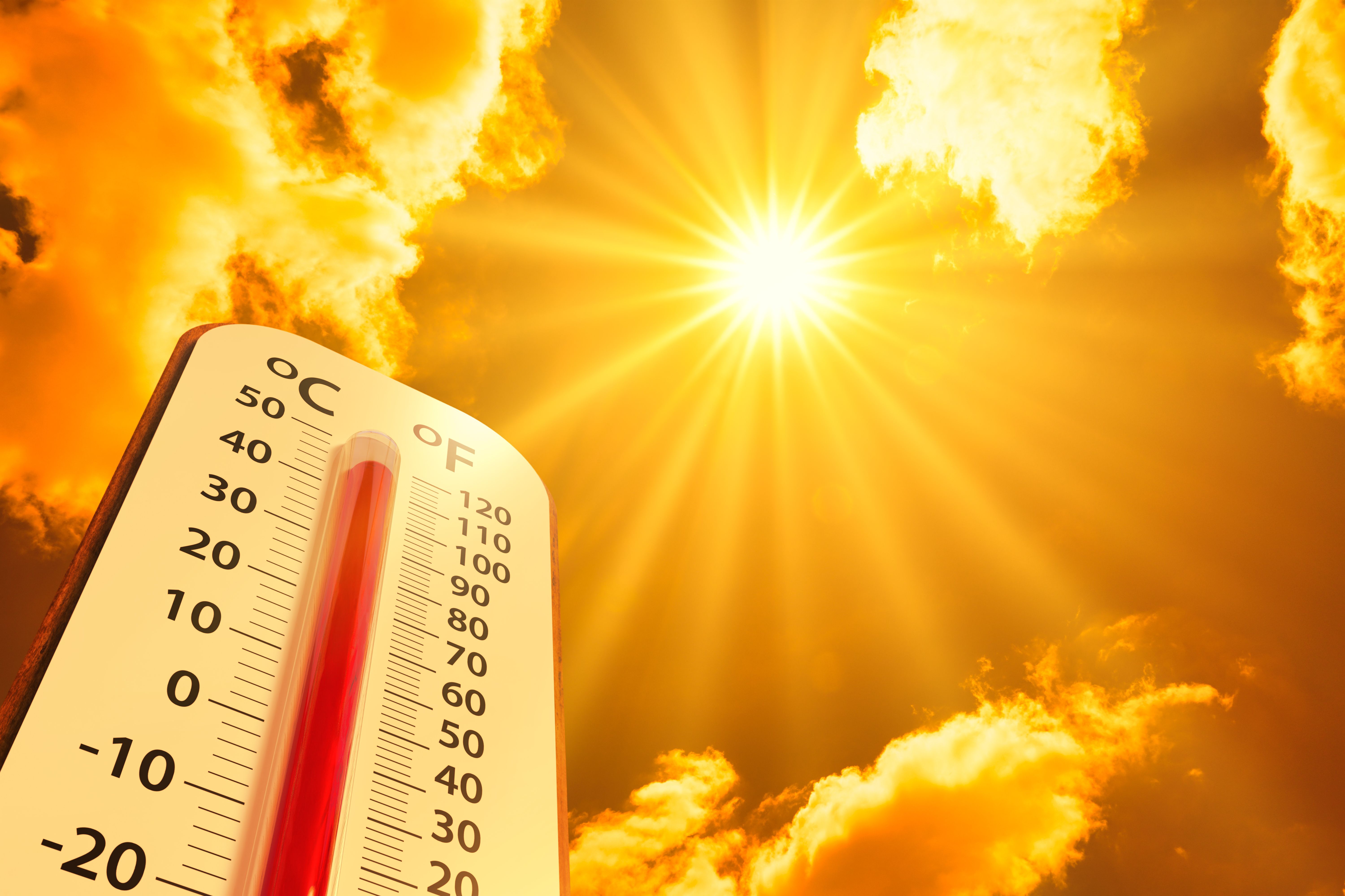 Review Identifies Multiple Climate Change Factors Influencing Skin review-identifies-multiple-climate-change-factors-influencing-skin
