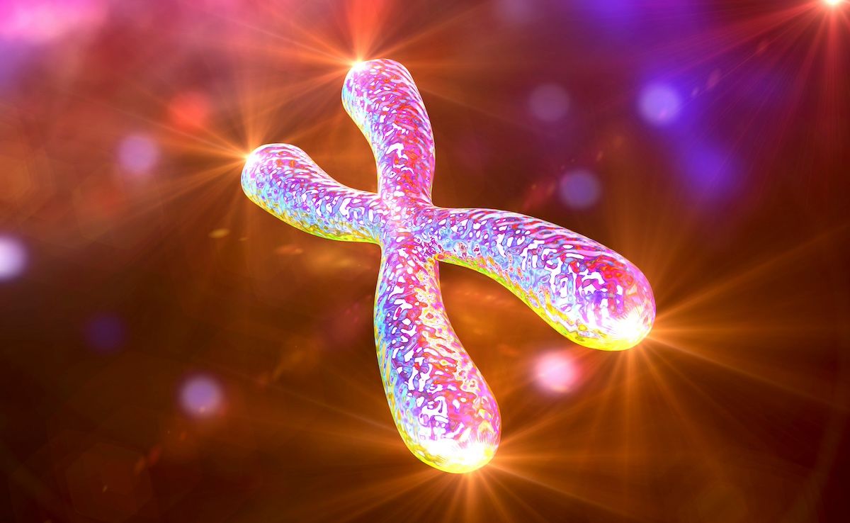 Sparkling telomere | Image Credit: Dr_Microbe - stock.adobe.com