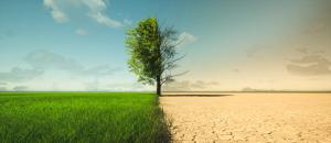 Climate change | Image credit: appledesign - stock.adobe.com