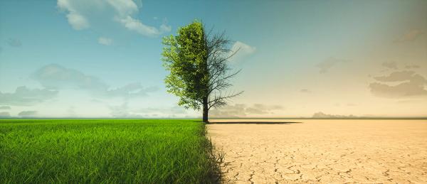 Climate change | Image credit: appledesign - stock.adobe.com
