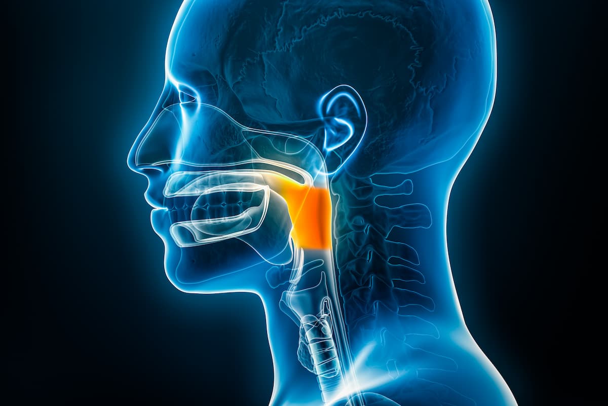 Respiratory patterns and submental surface electromyography may be a reliable indicator of dysphagia among patients with myasthenia gravis. | Image credit: Matthieu - stock.adobe.com