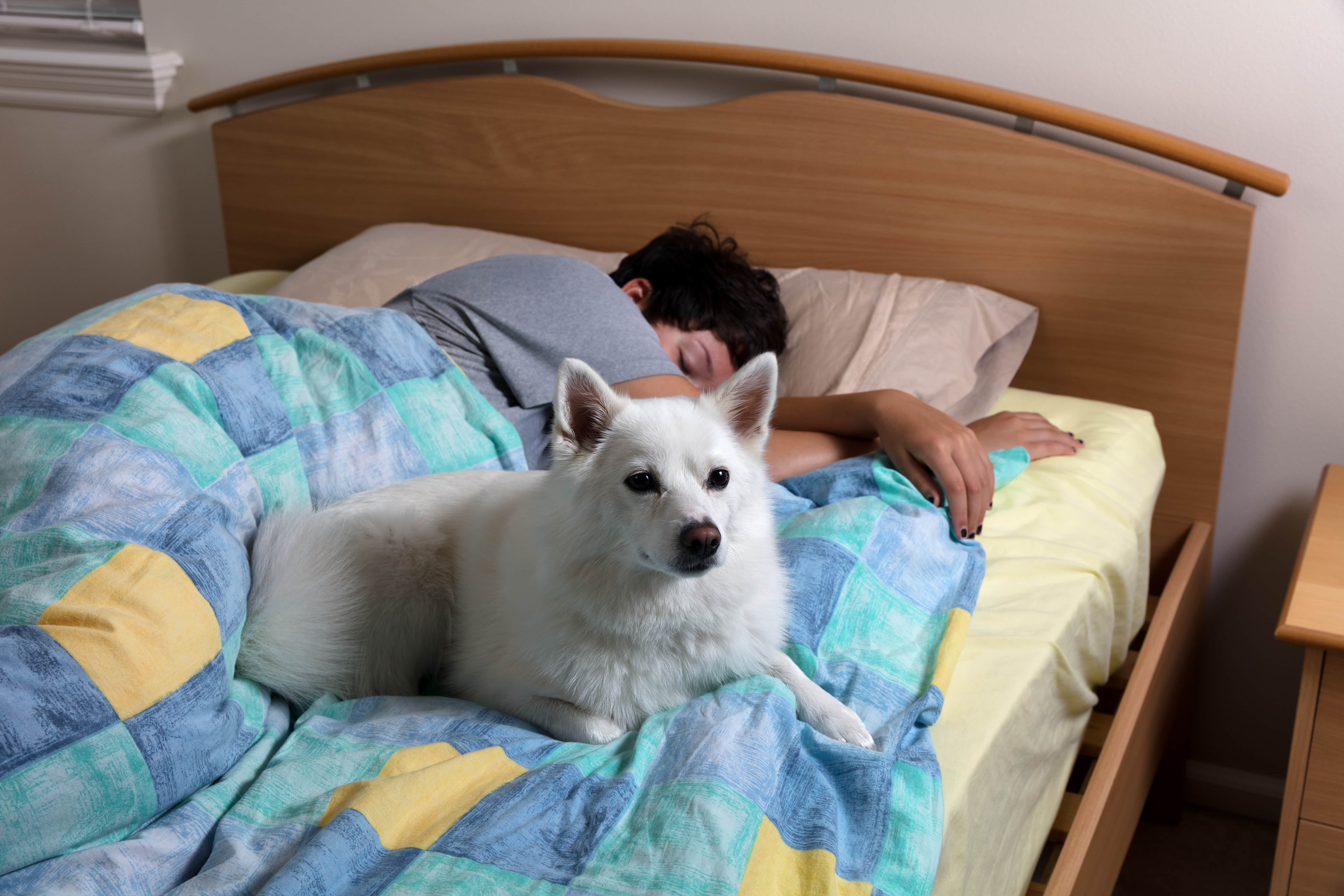 Picture of boy asleep