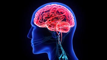 graphic of the human brain