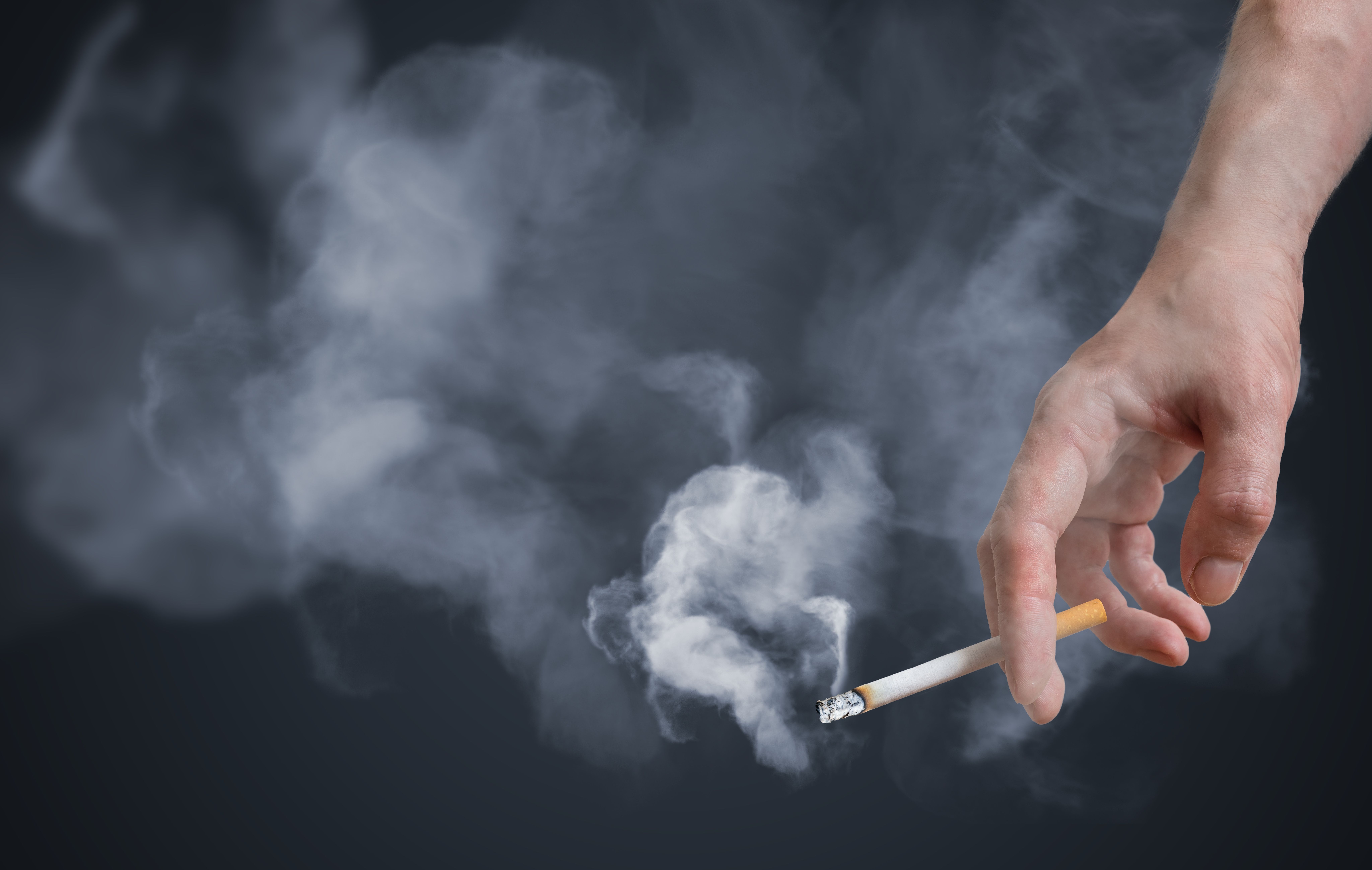 Study Shows Prevalence of Current Cigarette Smokers Depends on  Sociodemographic Characteristics