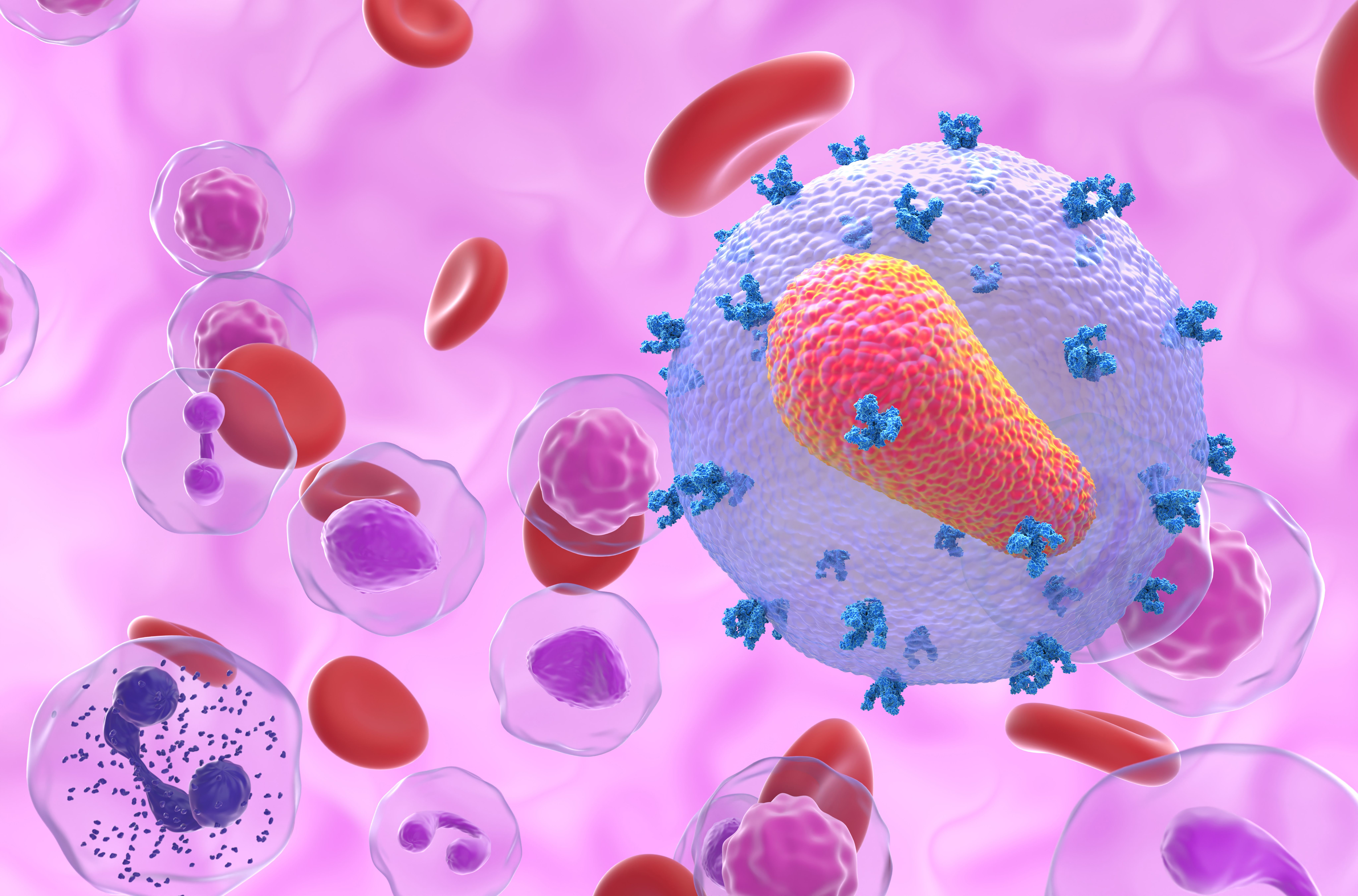 HIV | Image credit: LASZLO - stock.adobe.com