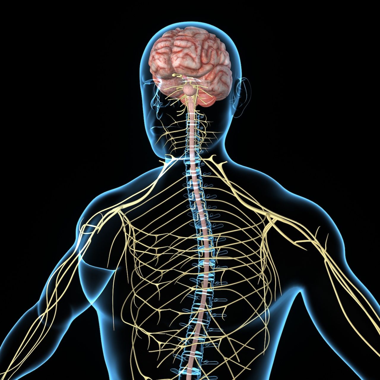 Study Probes Key Receptor Signaling That Goes Awry in Parkinson