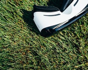 image of grass lawn
