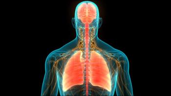 Brain and lungs | Image Credit: © magicmine-stock.adobe.com