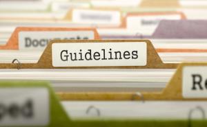 Guidelines folder tab. | Image credit: @tashatuvango_AdobeStock.jpeg