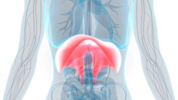 Human Diaphragm | Image credit: magicmine - stock.adobe.com
