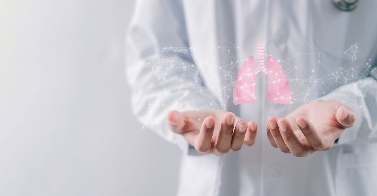 doctor hands holding lungs organ , world tuberculosis day, world no tobacco day, lung cancer, Pulmonary hypertension, copd, eco air pollution, pneumonia, donation, respiratory and chest concept: © Kiattisak - stock.adobe.com