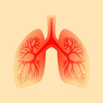 Lung Model | image credit: arcady - stock.adobe.com