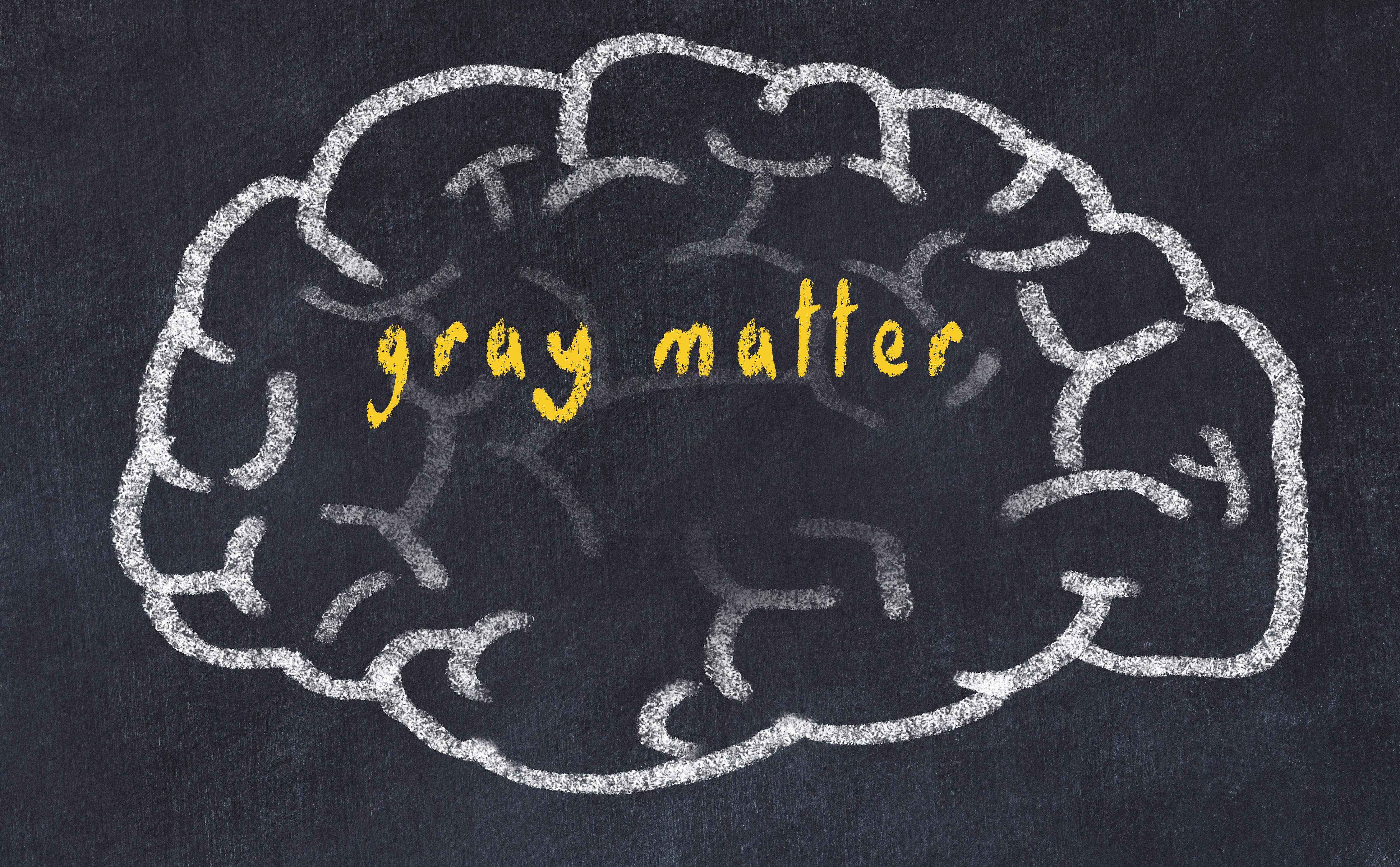 Gray matter is an abundant brain tissue found in the cerebellum, brain stem, and cerebrum | image credit: iushakovsky - stock.adobe.com