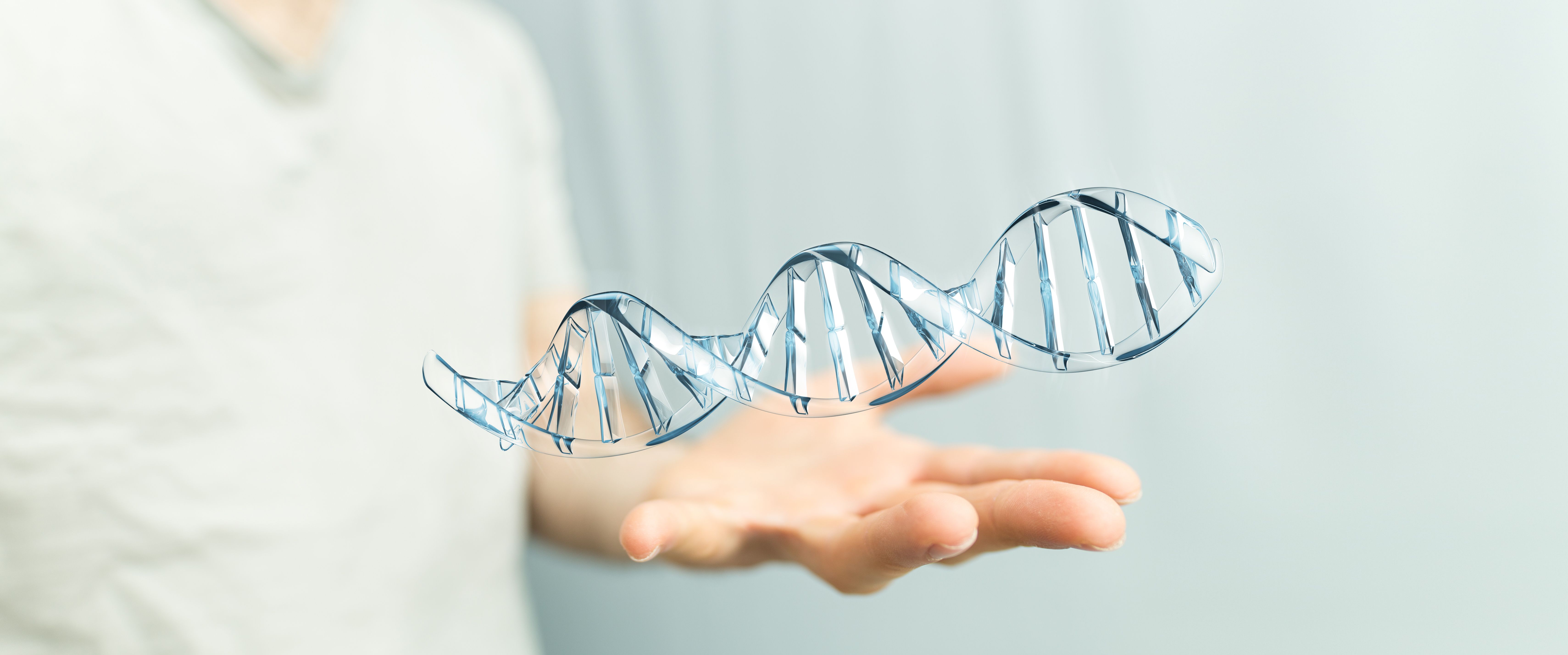 man holding a model of DNA