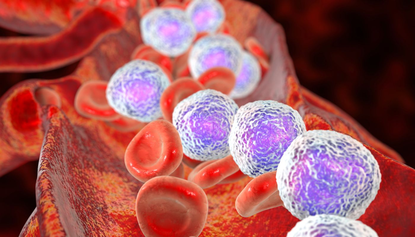 3D illustration showing abundant lymphoblasts in blood | Image credit: Dr_Microbe - stock.adobe.com