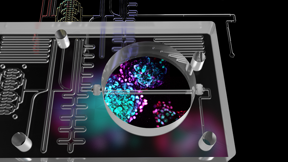 New Device Advances Glucose Stimulation and Insulin Detection