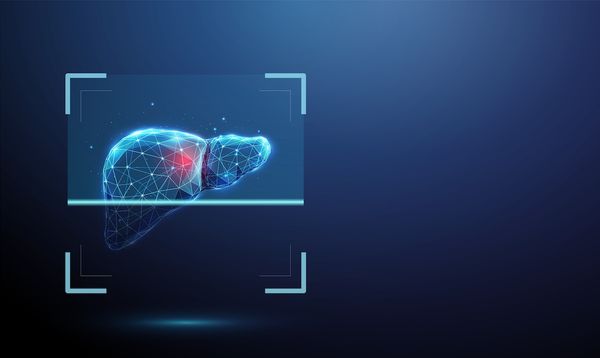 Digital liver image | Image Credit: © Елена Бутусова-stock.adobe.com