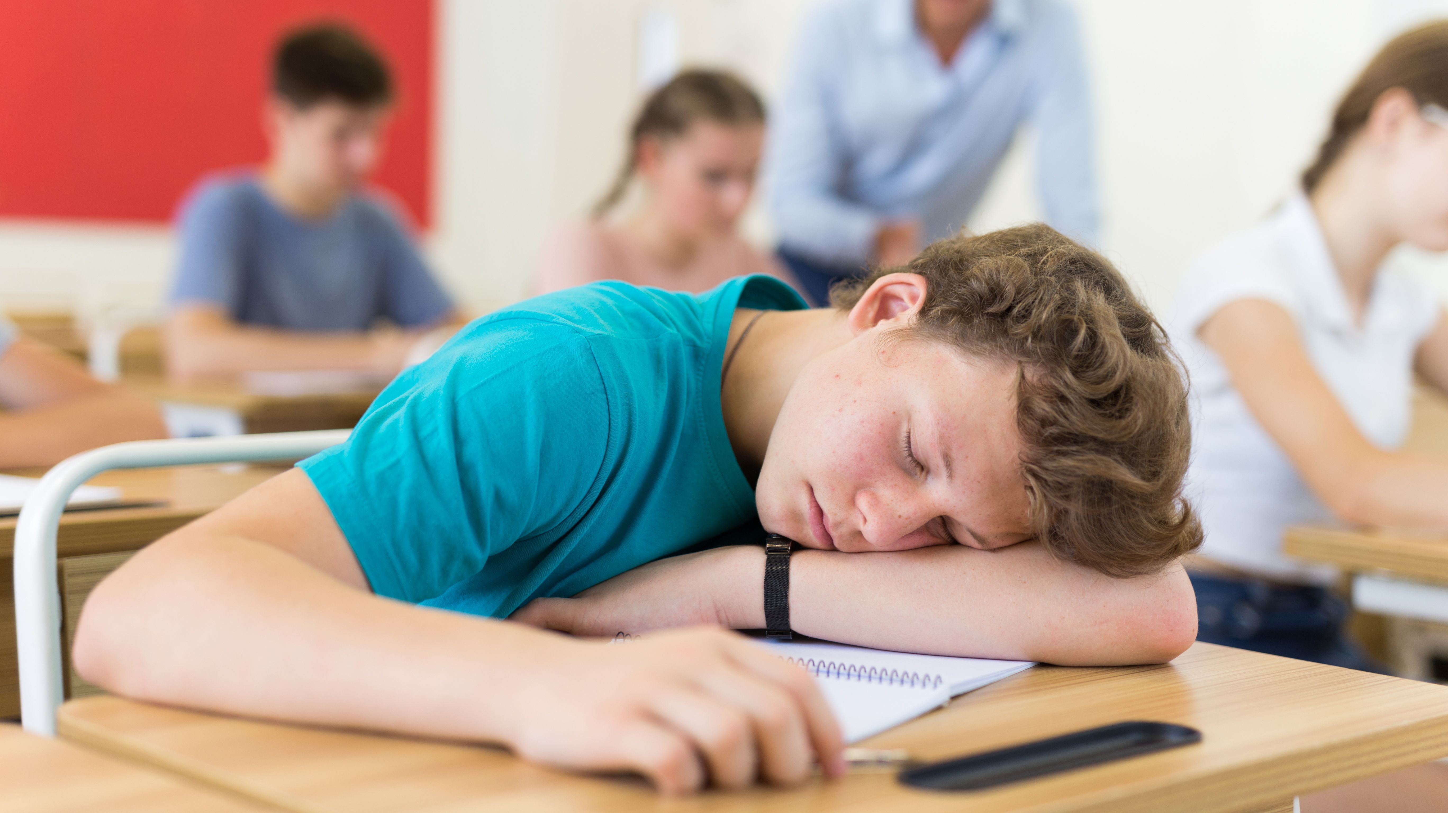 Teenager asleep at desk - JackF - stock.adobe.com.jpeg