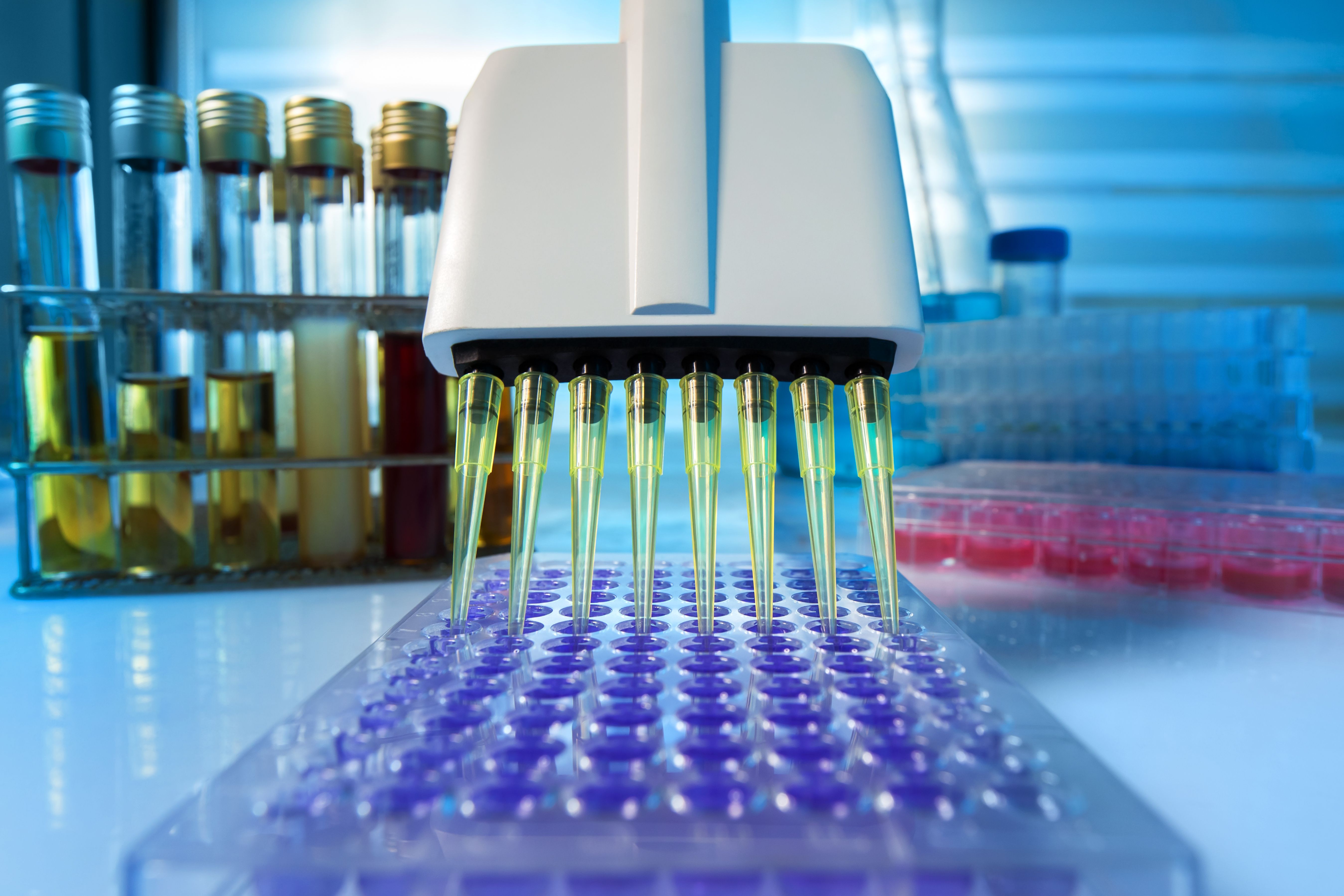 PCR loading | image credit: angellodeco - stock.adobe.come