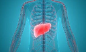 Studies Point to Empagliflozin as First Choice for Fatty Liver Disease in T2D