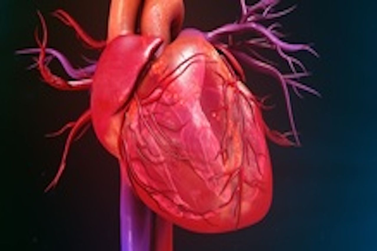 Image of a heart