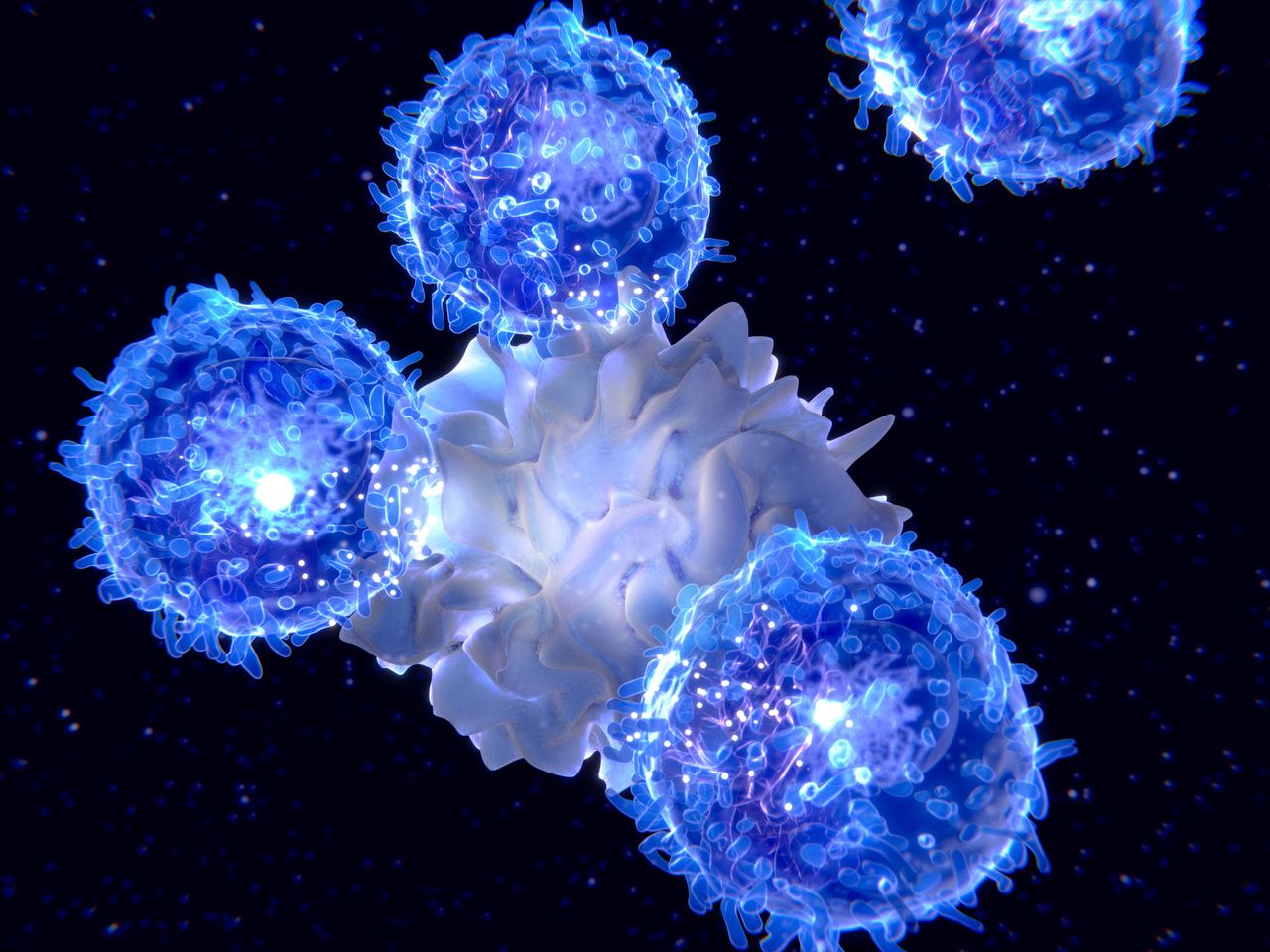 Case Study Highlights Potential Link Between TKIs and Lymphoplasmacytic Lymphoma