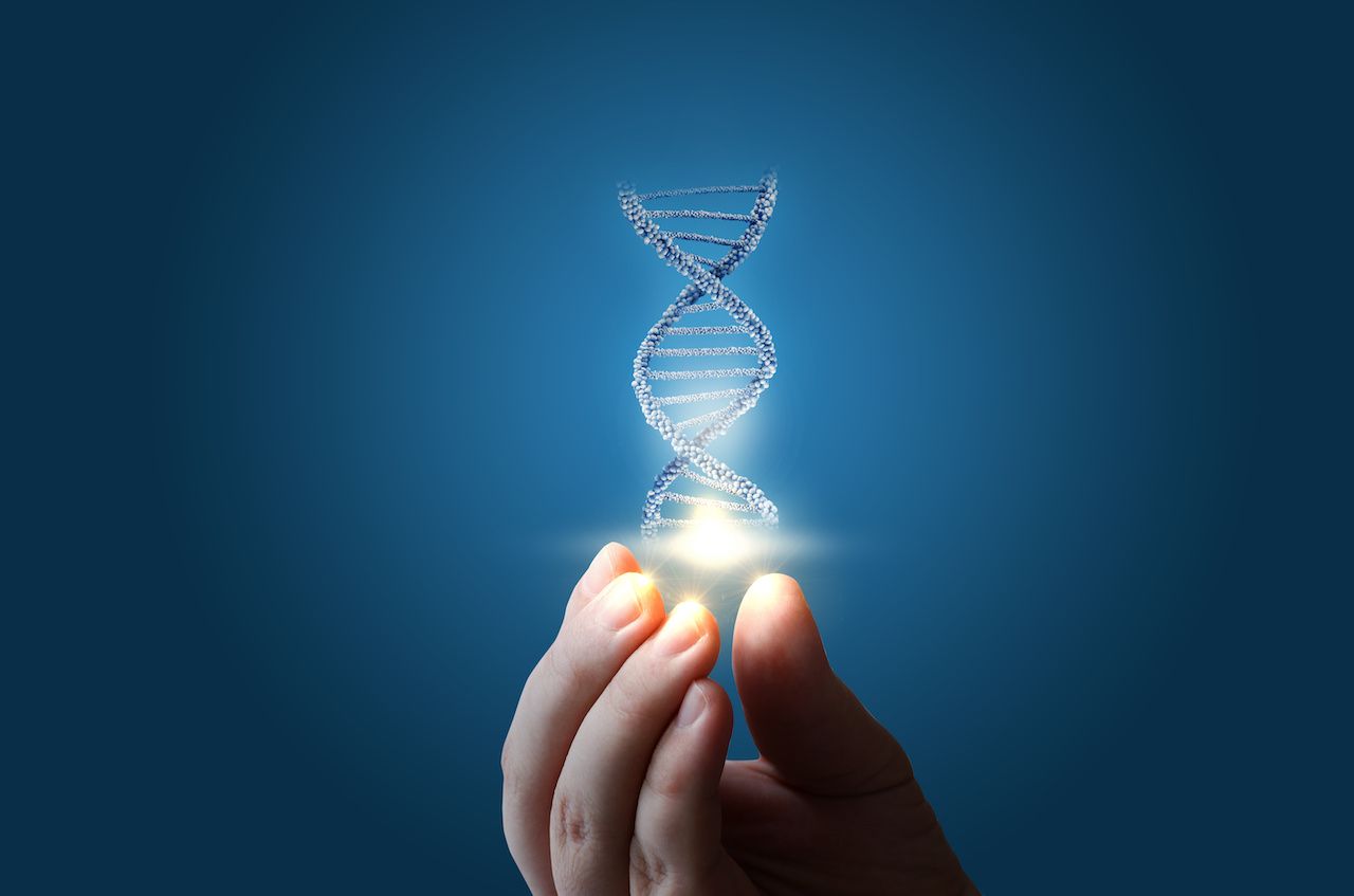 Image of DNA: natali_mis - stock.adobe.com