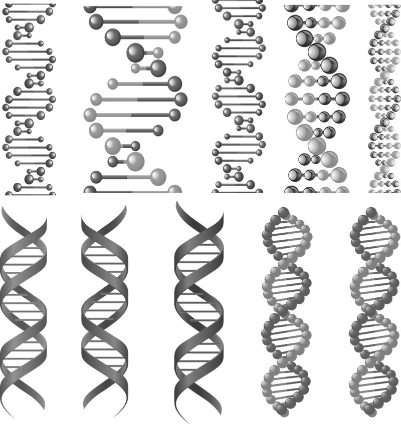 DNA.