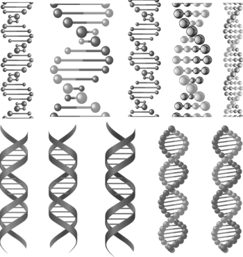 DNA strands 