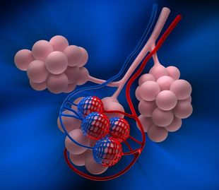 Endothelial Microparticles as Predictive Biomarkers for COPD Exacerbations