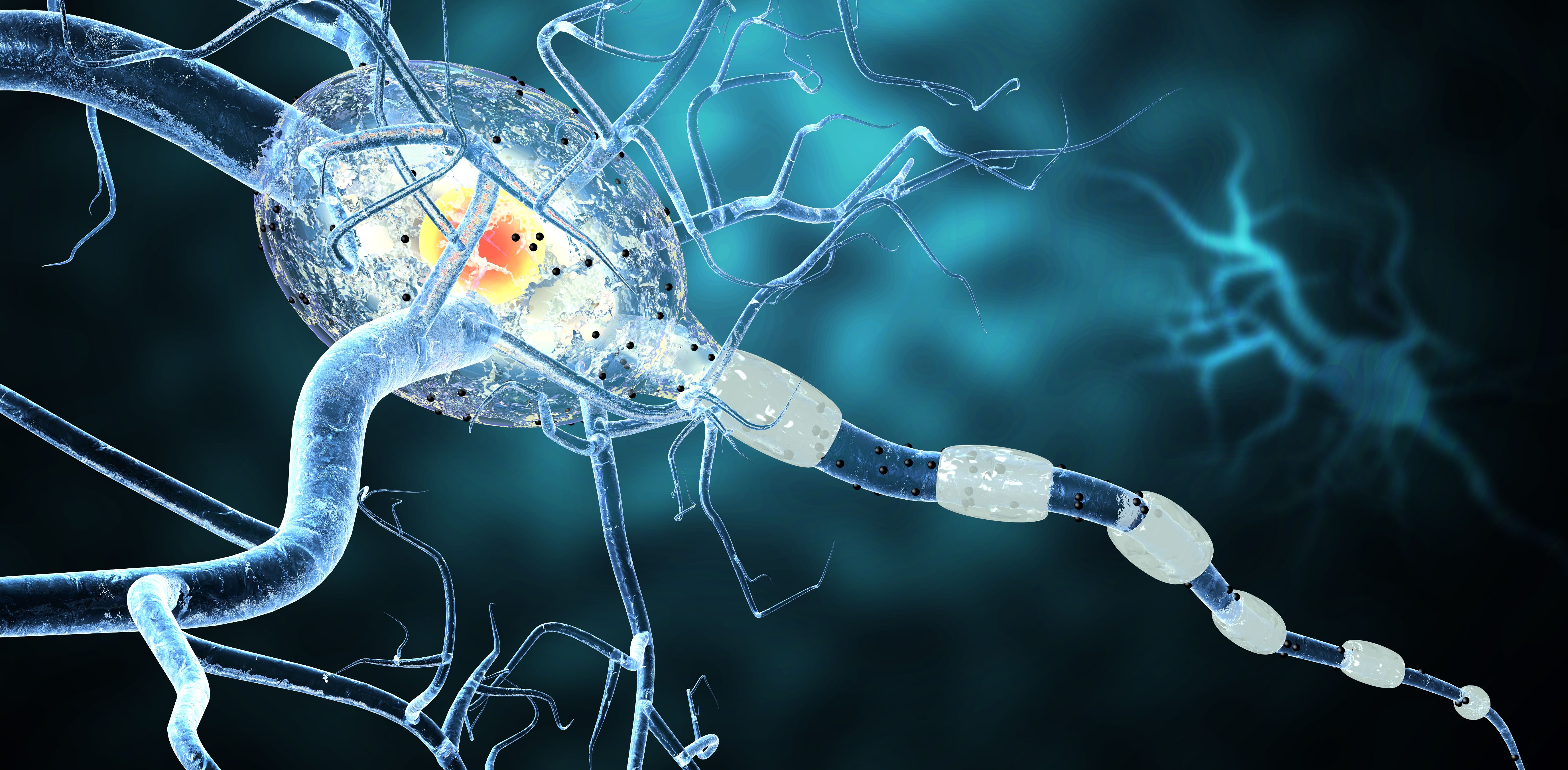 Neurologic disease concept | image credit: ralwel - stock.adobe.com