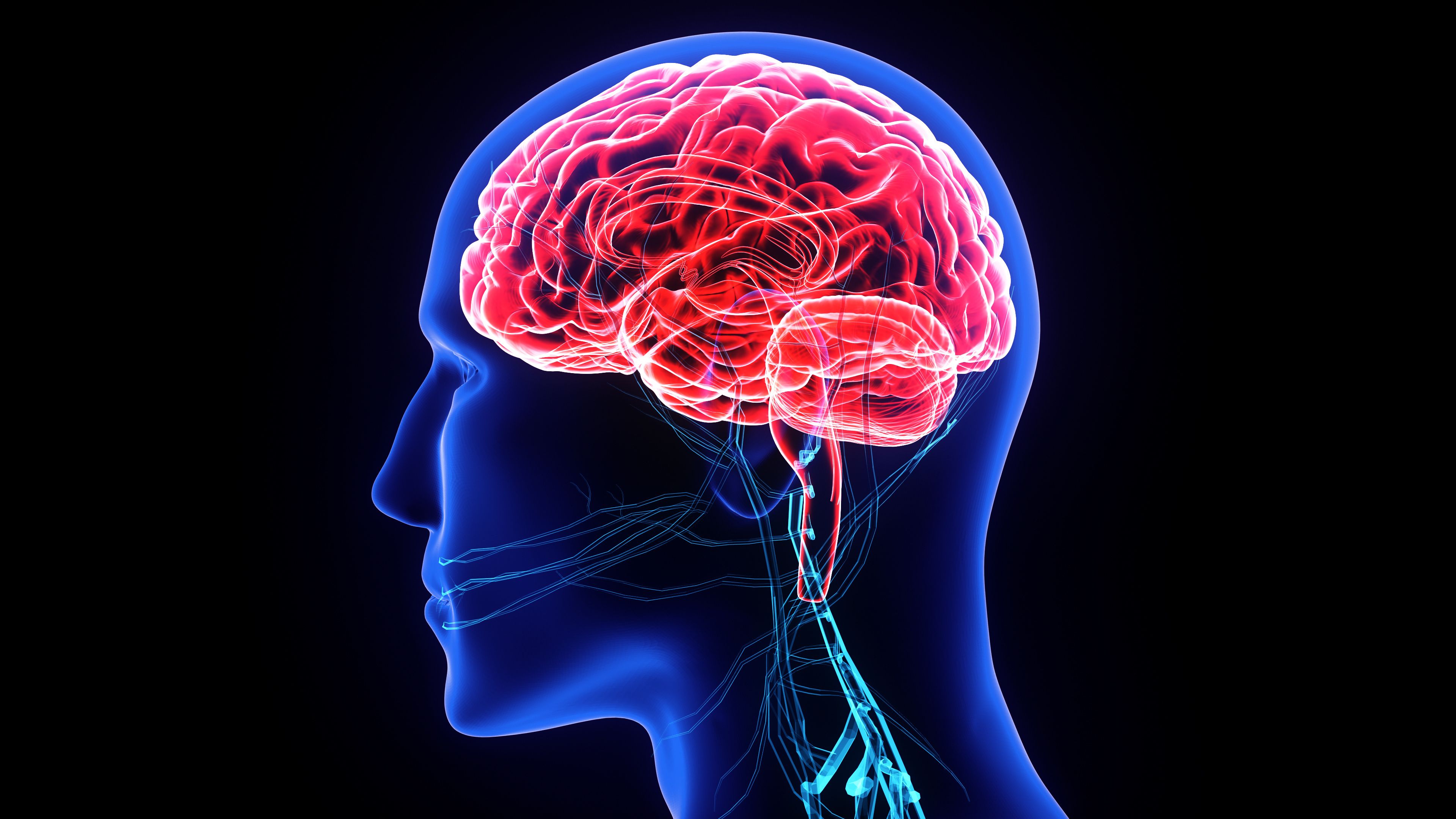 Understanding the Connection Between Migraines, Posttraumatic Headaches