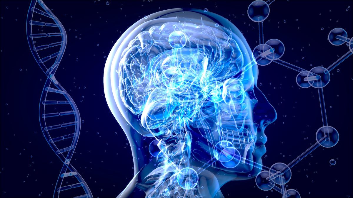 brain and protein biomarkers for multiple sclerosis | Image credit: Julien Tromeur - stock.adobe.com